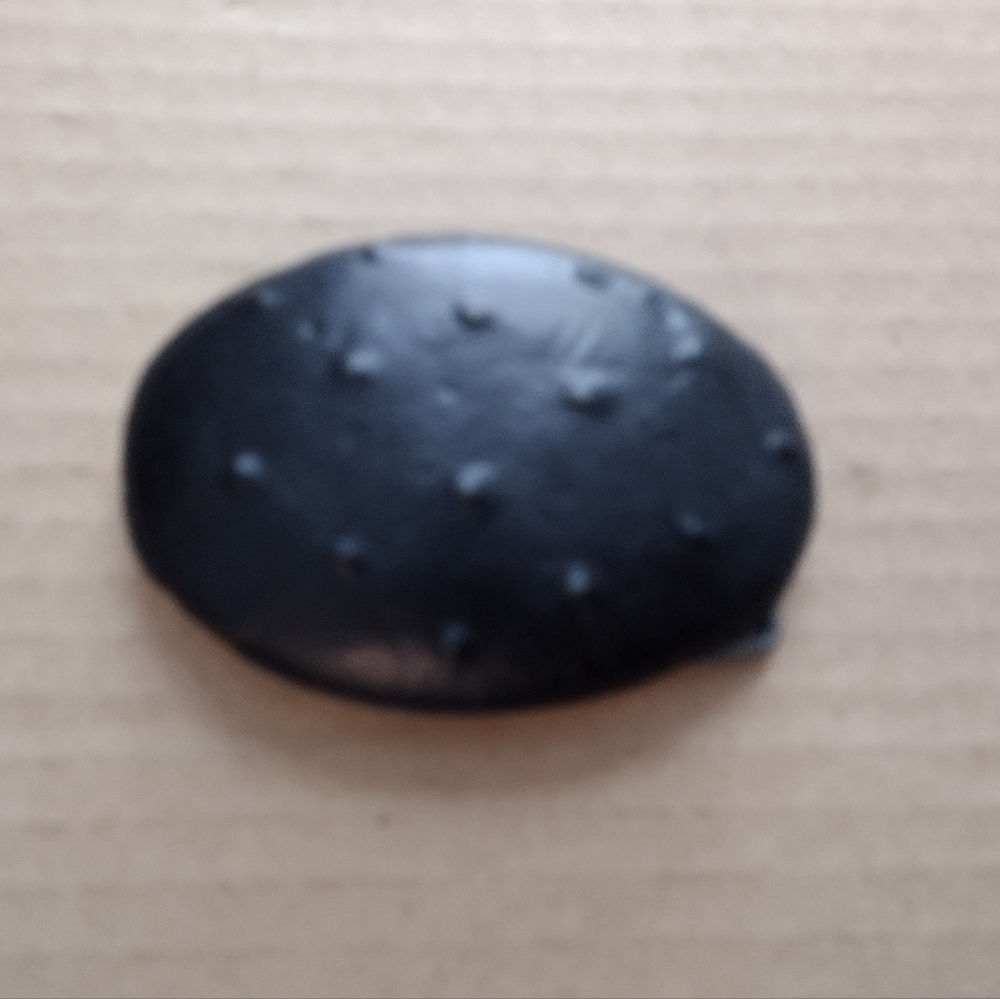 Ostrich Belt Buckle NWOT